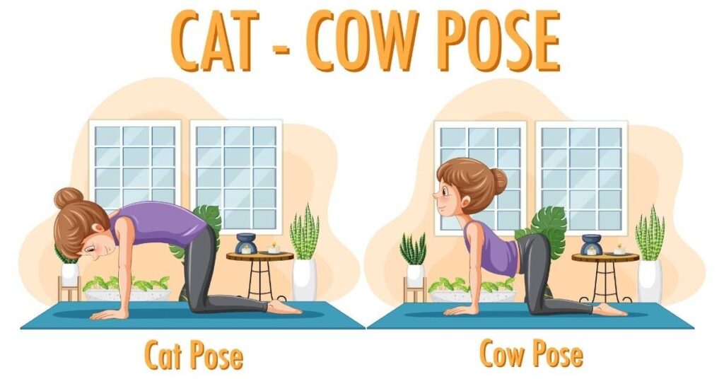cat-cow pose